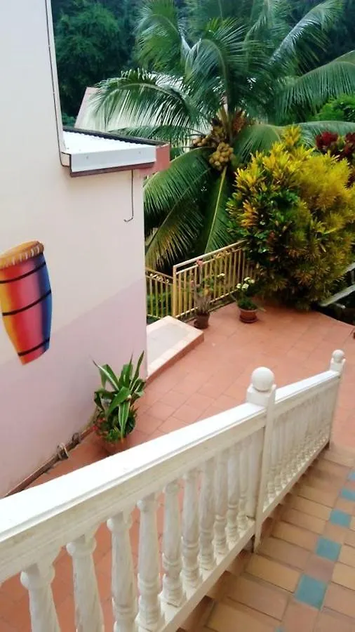 Appartement Accueillant Au Robert Avec Balcon Et Jardin Le Robert Martinique